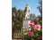 Holiday homeGermany - : 205371  [35] 