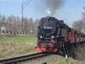 Holiday homeGermany - Harz: 491506