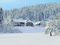 Holiday homeGermany - Black Forest: 36680