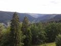 Holiday homeGermany - Black Forest: 46988