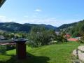 Holiday homeGermany - Black Forest: 100740