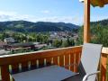 Holiday homeGermany - Black Forest: 100740