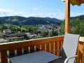 Holiday homeGermany - Black Forest: 275208