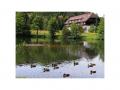 Holiday homeGermany - Black Forest: 475201