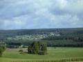 Holiday homeGermany - Black Forest: 65643