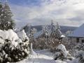 FerienhausDeutschland - Harz: 50533