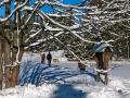 FerienhausDeutschland - Harz: 50533