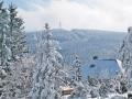 FerienhausDeutschland - Harz: 50533