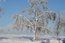 Holiday homeGermany - Harz: Holzhaus Ute