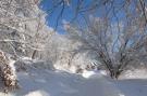 Holiday homeGermany - Harz: Holzhaus Ute