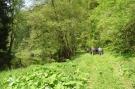 FerienhausDeutschland - Eifel: Ferienwohnung Waldeifel