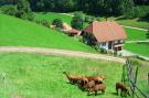 Holiday homeGermany - Black Forest: Salmensbach