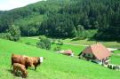 Holiday homeGermany - Black Forest: Salmensbach