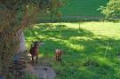 FerienhausDeutschland - Schwarzwald: Am Stulzenhof