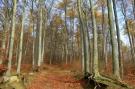 VakantiehuisDuitsland - Weserbergland: Weserbergland