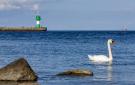 FerienhausDeutschland - : Strandblick 25 - Dorf 1