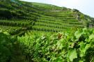 Holiday homeGermany - : Ferienweingut Emmerich