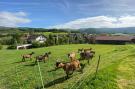 FerienhausDeutschland - : Landhaus Rosmarie