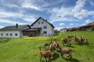 Holiday homeGermany - : Landhaus Rosmarie