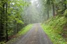 Holiday homeGermany - Black Forest: Landhaus Bächle