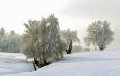 Holiday homeGermany - Harz: "St. Andreasberg, Haus 13"