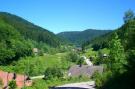 FerienhausDeutschland - Schwarzwald: Haus Fischer