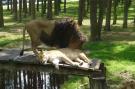 VakantiehuisDuitsland - Lüneburger Heide: Ericaheidepark