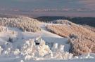 FerienhausDeutschland - Schwarzwald: Isidor