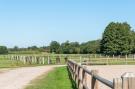 VakantiehuisDuitsland - Lüneburger Heide: Lüneburger Heide