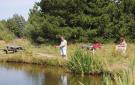 VakantiehuisDenemarken - : Blåvand