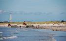 FerienhausDenemarken - : Blåvand