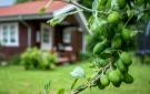 FerienhausDenemarken - : Nykøbing Sj