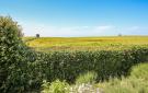 FerienhausDenemarken - : Samsø