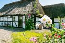 FerienhausDenemarken - : 