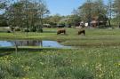 FerienhausDenemarken - : 