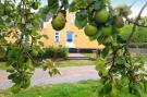 FerienhausDenemarken - : 