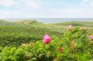 VakantiehuisDenemarken - : 