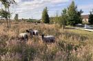 FerienhausDenemarken - : 4 pers.Hus