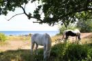 VakantiehuisDenemarken - : 5 pers.Lejl.