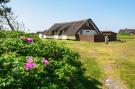 FerienhausDenemarken - : 