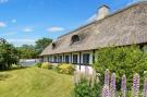 FerienhausDenemarken - : 