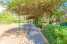 Holiday homeSpain - : Finca Son Pou  [53] 