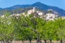 Holiday homeSpain - : Ses Planes - Adults Only (ca Na Faustina)