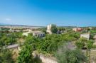 Holiday homeSpain - : Villa Sa Fonera