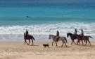 VakantiehuisSpanje - : Chiclana de la Fronter