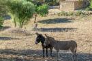 FerienhausSpanien - : Son EsquerrÀ