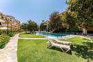 Holiday homeSpain - : CT 103 - Faro's Romana Playa Studio 142