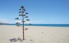 Holiday homeSpain - : Vera