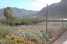 FerienhausSpanien - : Casa El Cardon B1' with Sea &amp; Mountain View  [33] 