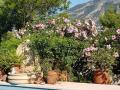 Holiday homeSpain - Costa Blanca: 484668